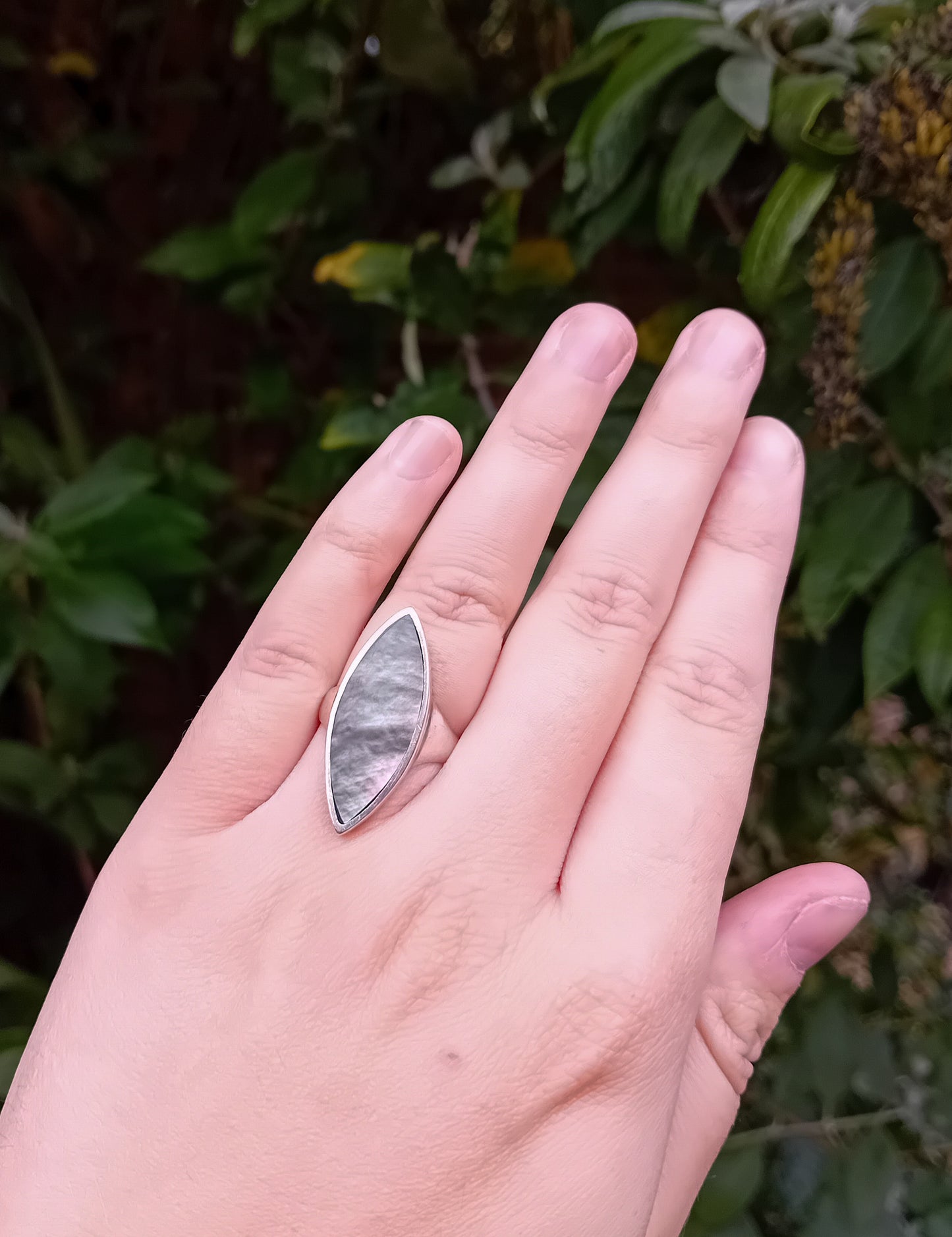 Shell Ring