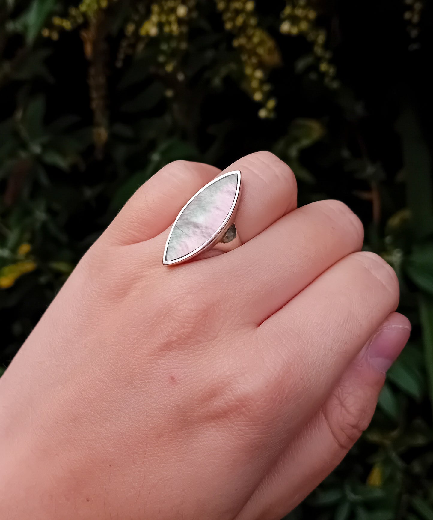 Shell Ring