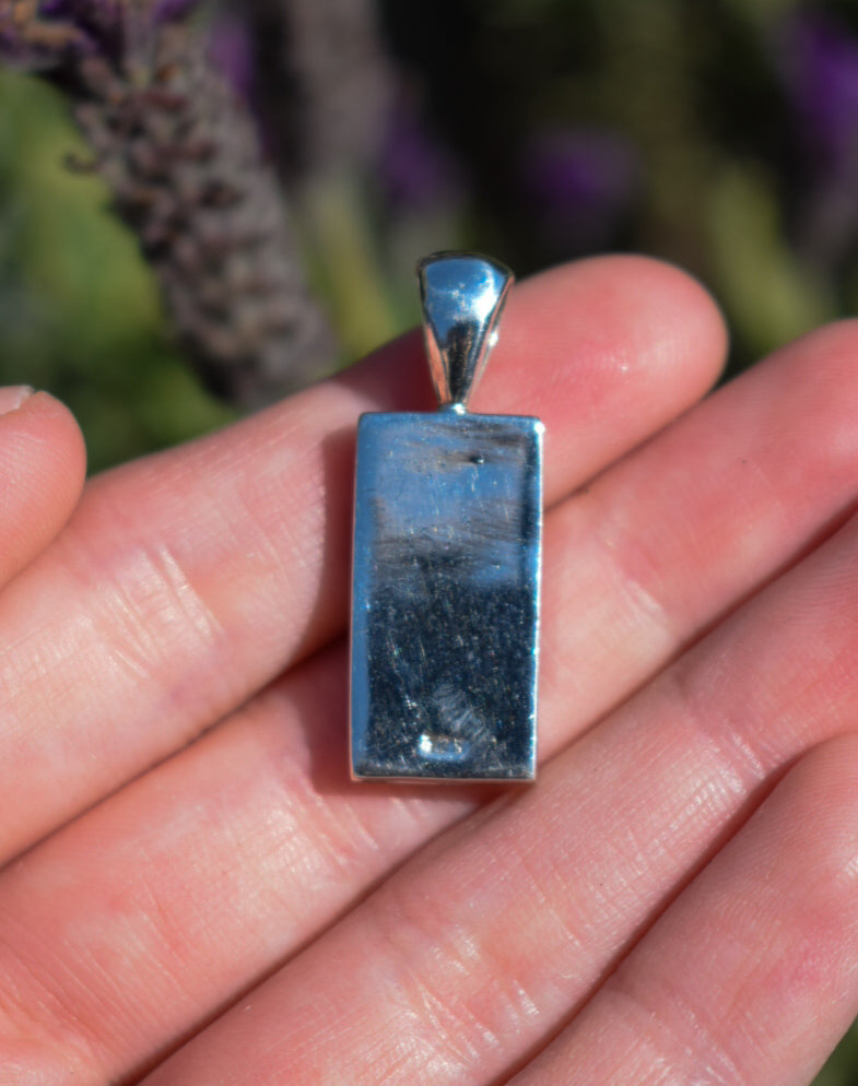 Abalone Necklace