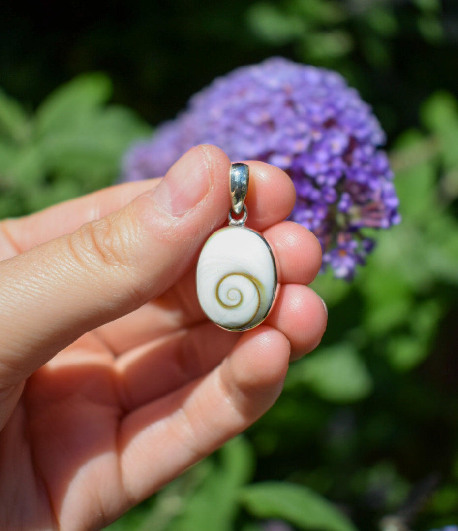 Shell Necklace