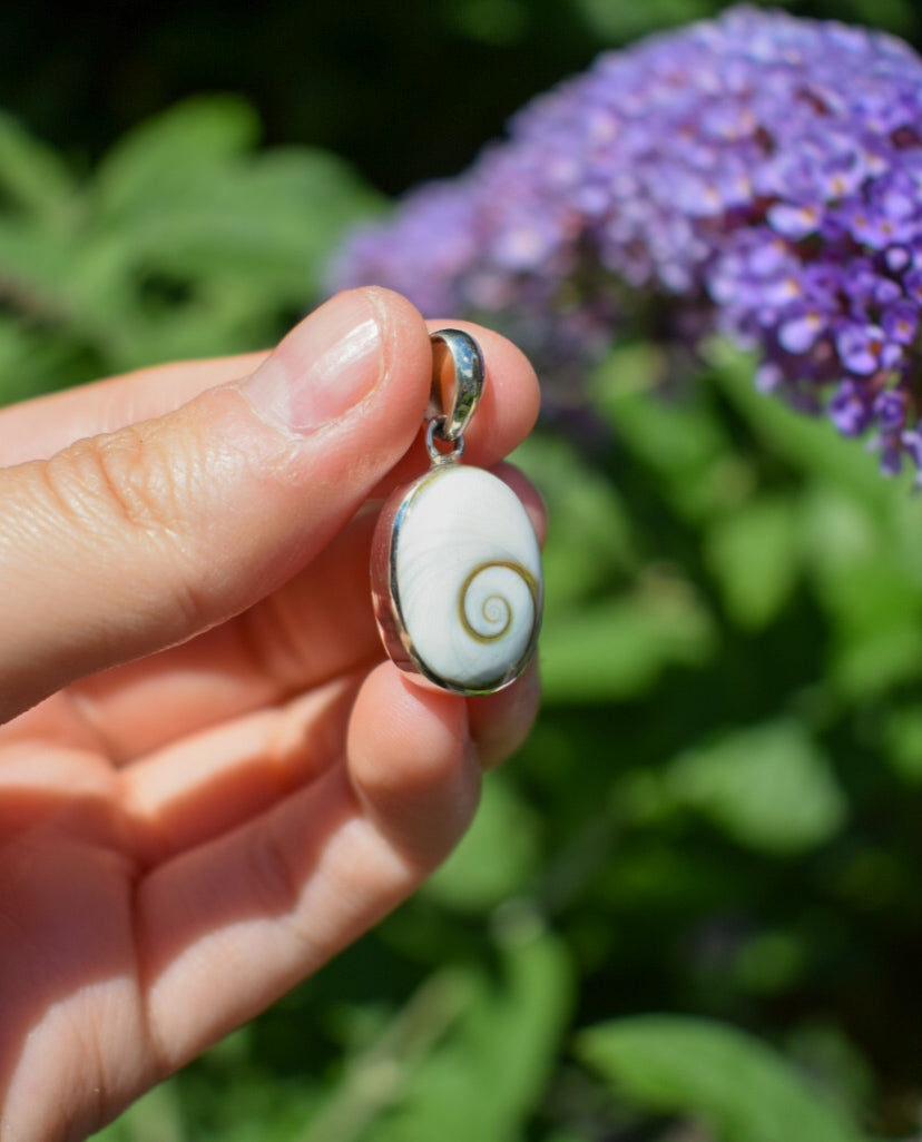 Shell Necklace