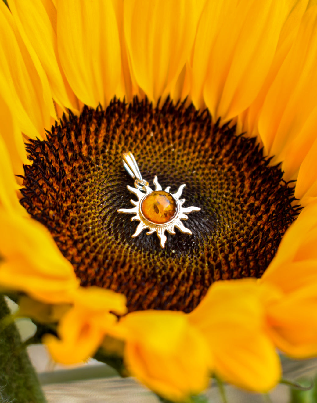 Amber Sun Necklace