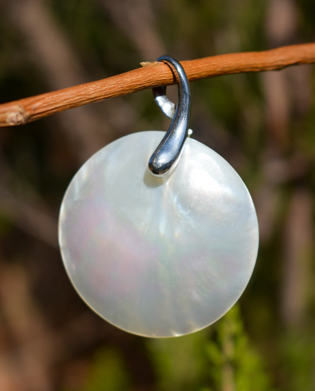Silver Shell Necklace