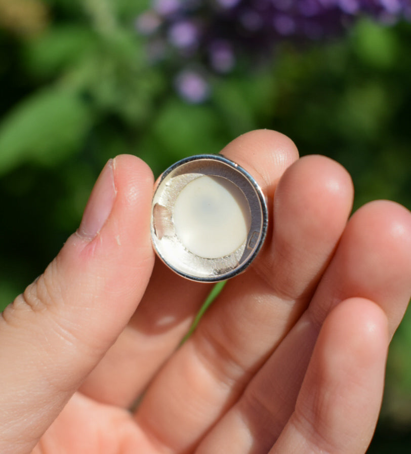 Round Shell Necklace