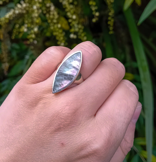Shell Ring