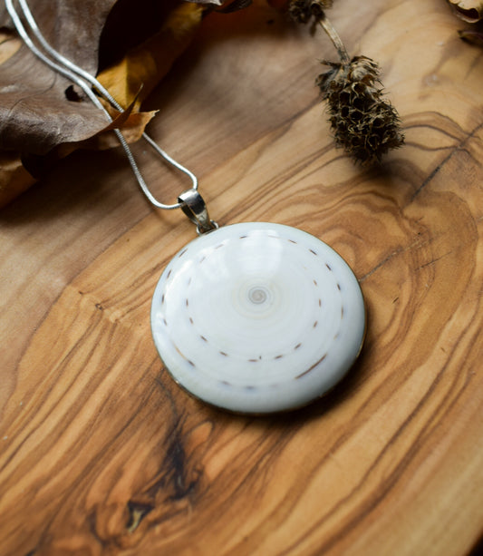 Shell Pendant Necklace