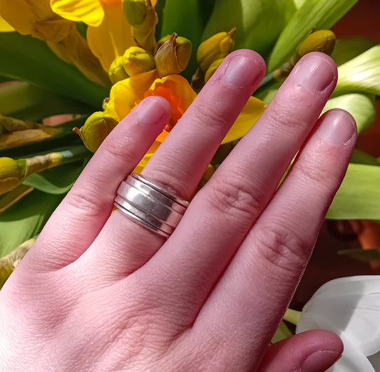 Fidget Ring
