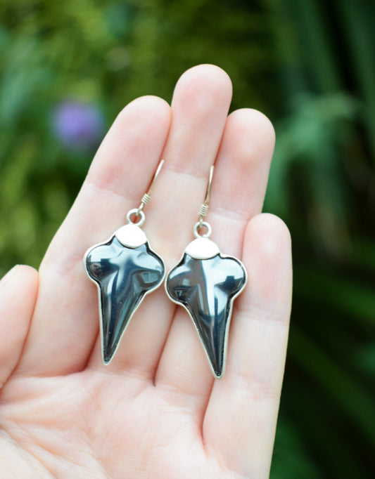 Black Sterling Silver Earrings