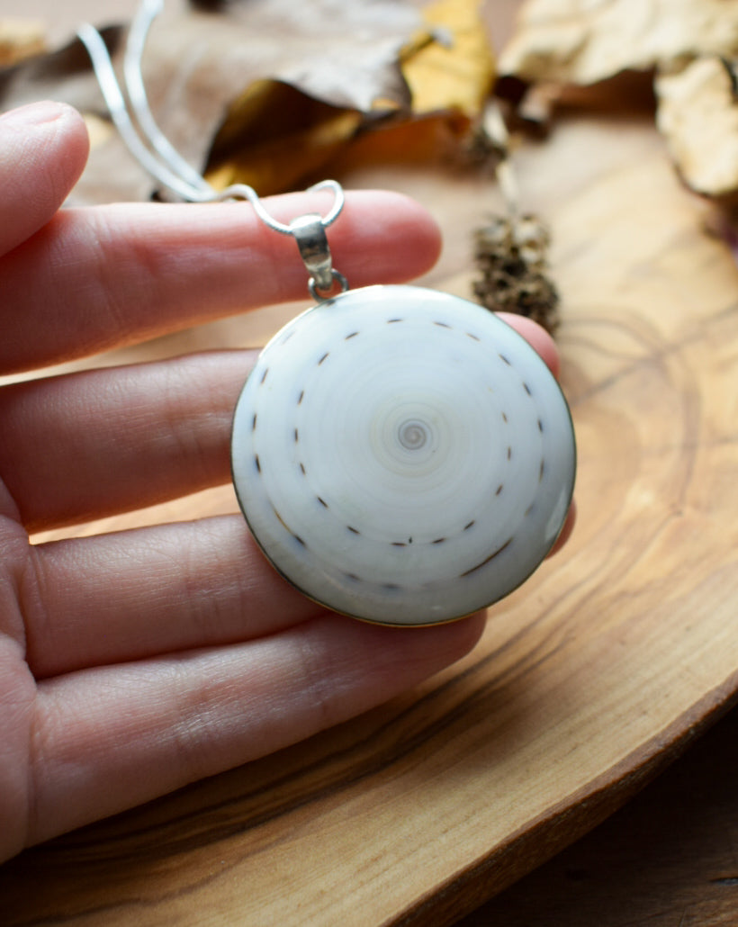 Shell Pendant Necklace
